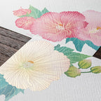 Midori Kami Letter Set Cotton Rose