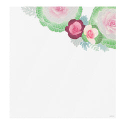 Midori Kami Letter Set Ornamental Kale