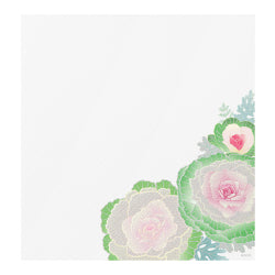 Midori Kami Letter Set Ornamental Kale