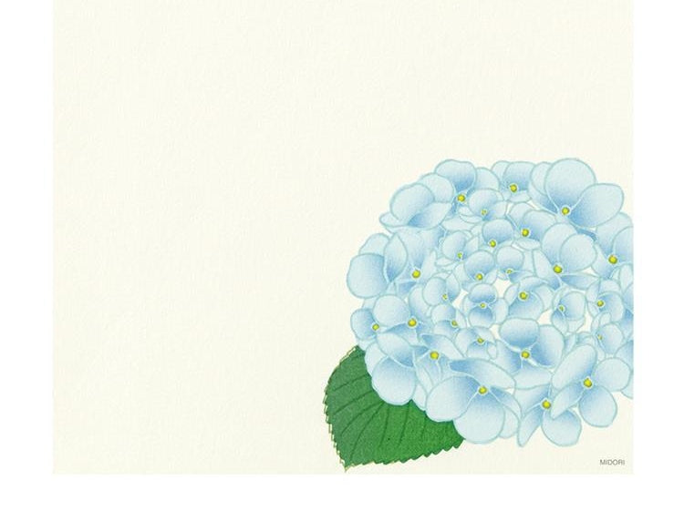 Midori Kami Letter Set (Summer Florals)
