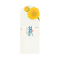 Midori Kami Letter Set Sunflower - Envelopes