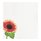 Midori Kami Letter Set Sunflower