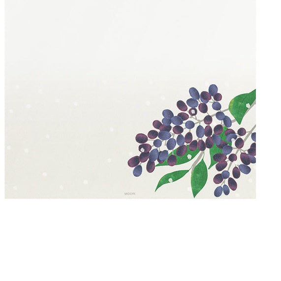 Midori Kami Letter Set Winter Harvest Berries