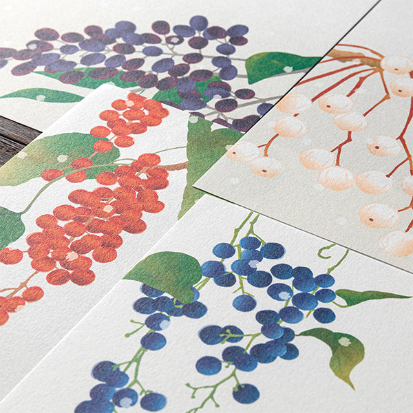 Midori Kami Letter Set Winter Harvest Berries