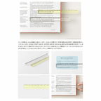 Midori Lens Ruler 15cm