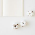 Midori MD Notebook - Cotton - A5