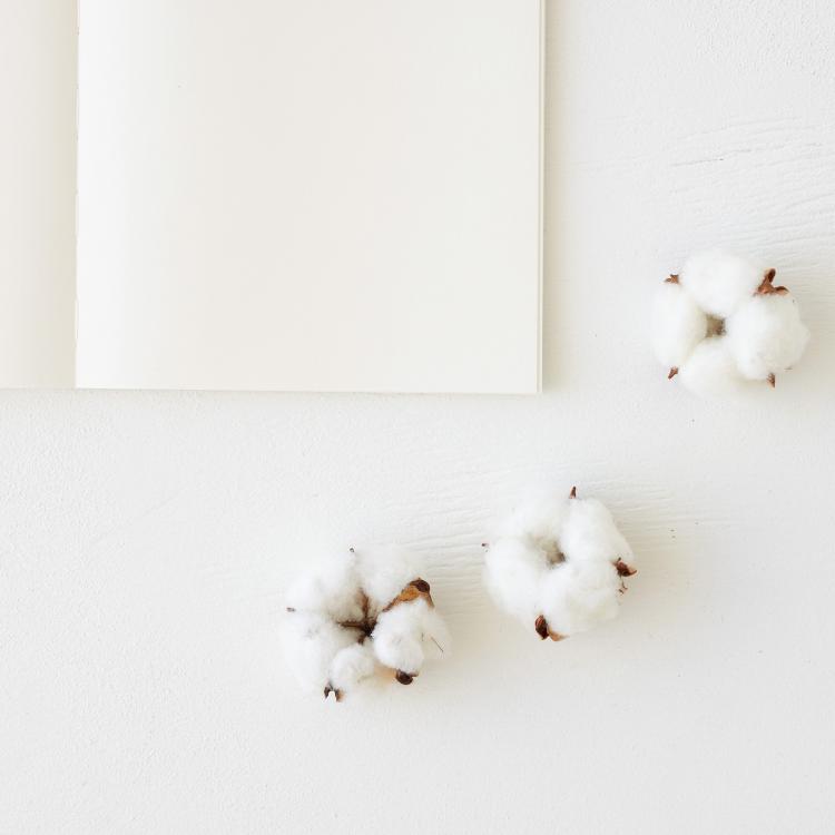 Midori MD Notebook - Cotton - A5