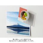 Midori Miniature Magnet - Ammitsu