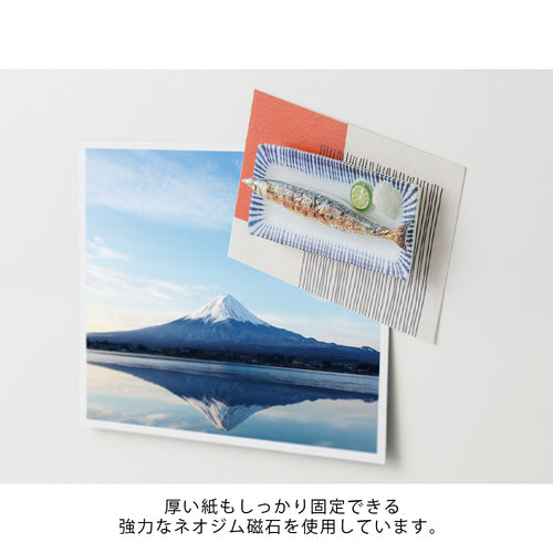 Midori Miniature Magnet - Samma