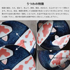 Mino - Coloured Koi Tea Cup 280ml