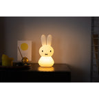 Mr Maria Miffy Shines