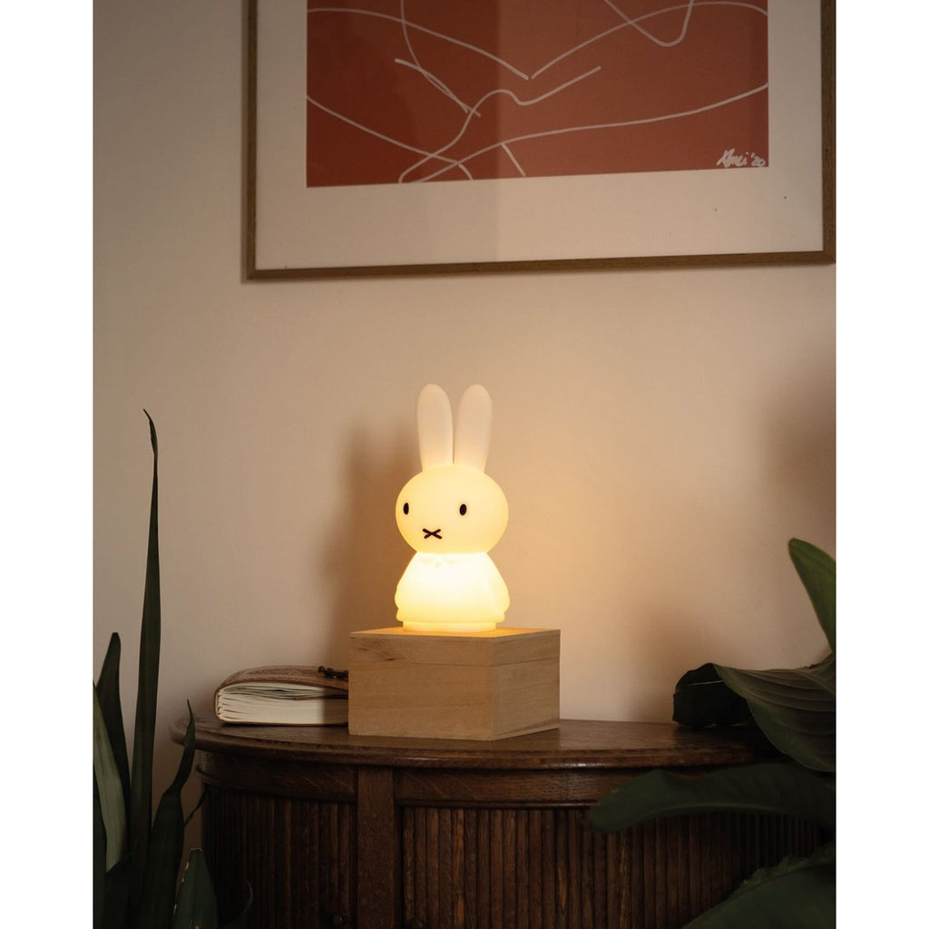 Mr Maria Miffy Shines