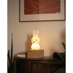 Mr Maria Miffy Shines
