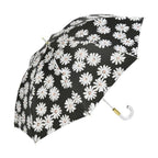 NIFTY COLORS Black Marguerite Daisy Umbrella 50cm