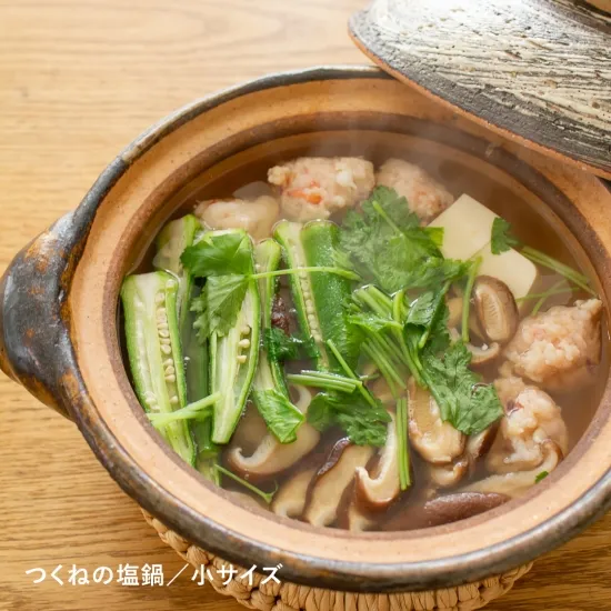 Nagatanien Hakeme Classic Donabe - Small 800ml