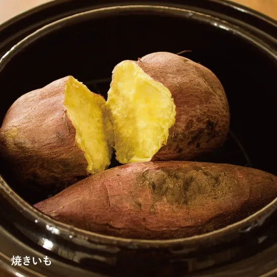 Nagatanien Ibushigin Smoking Pot Large