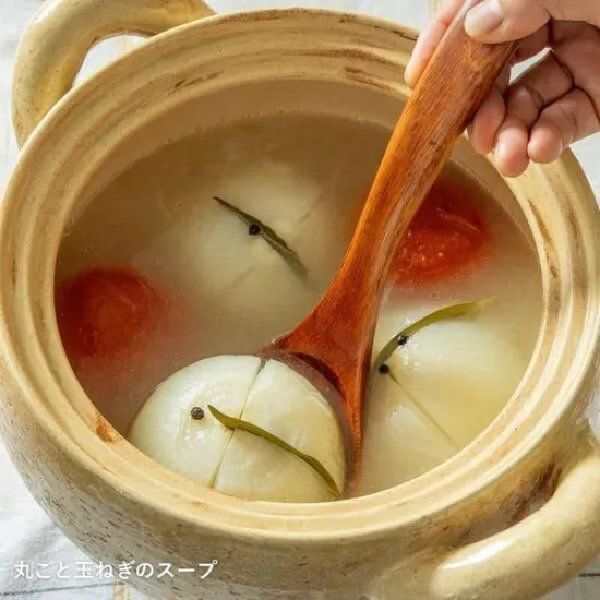 Nagatanien Soup Donabe Pot XL