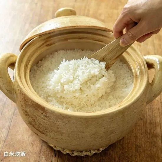 Nagatanien Soup Donabe Pot XL