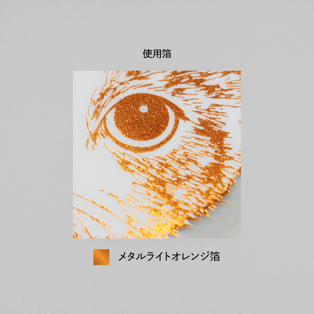 Rokkaku Cat Art Collection Clear Die-cut Sticker Hinata - Clear Die-cut Sticker - Hinata