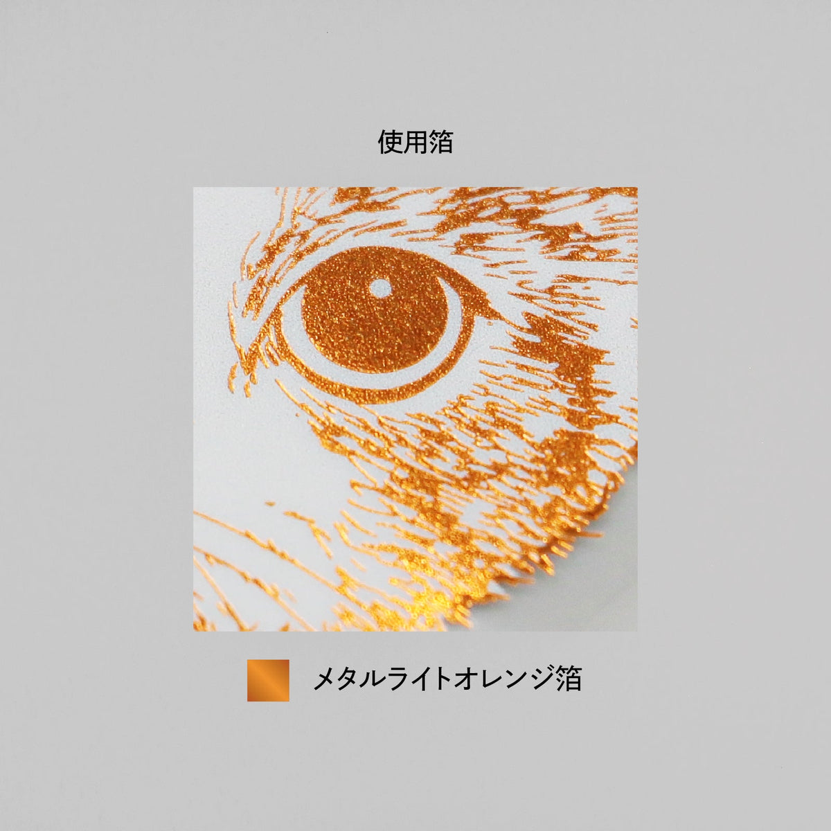 Rokkaku Cat Art Collection Clear Die-cut Sticker Hinata - Clear Die-cut Sticker - Hinata