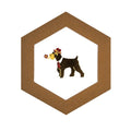 Rokkaku Hexagon Card - Schnauzer