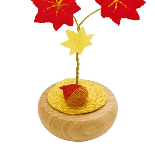 Acorn