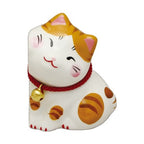 Tiger Cat