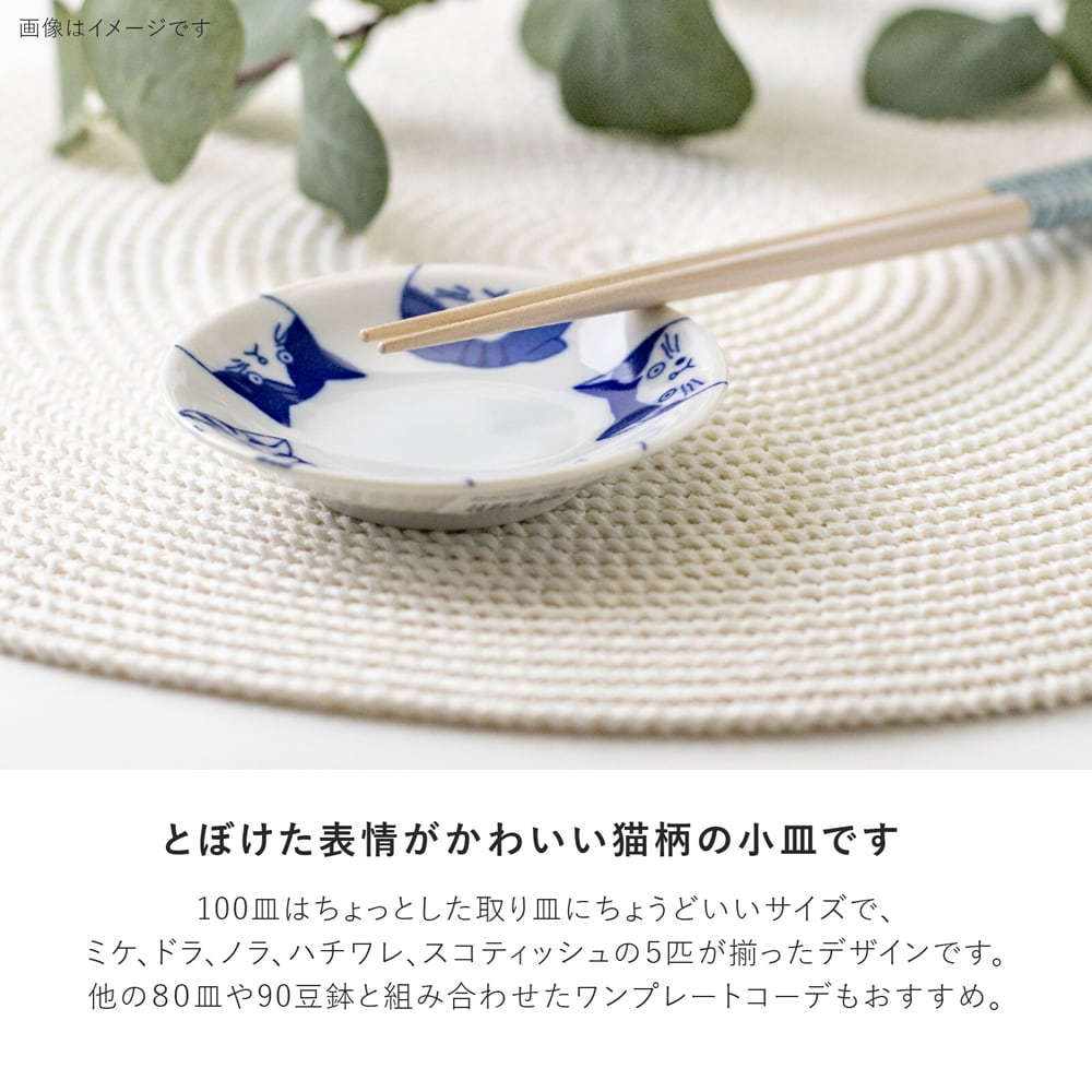 SHICHITA Cat Plate 10D