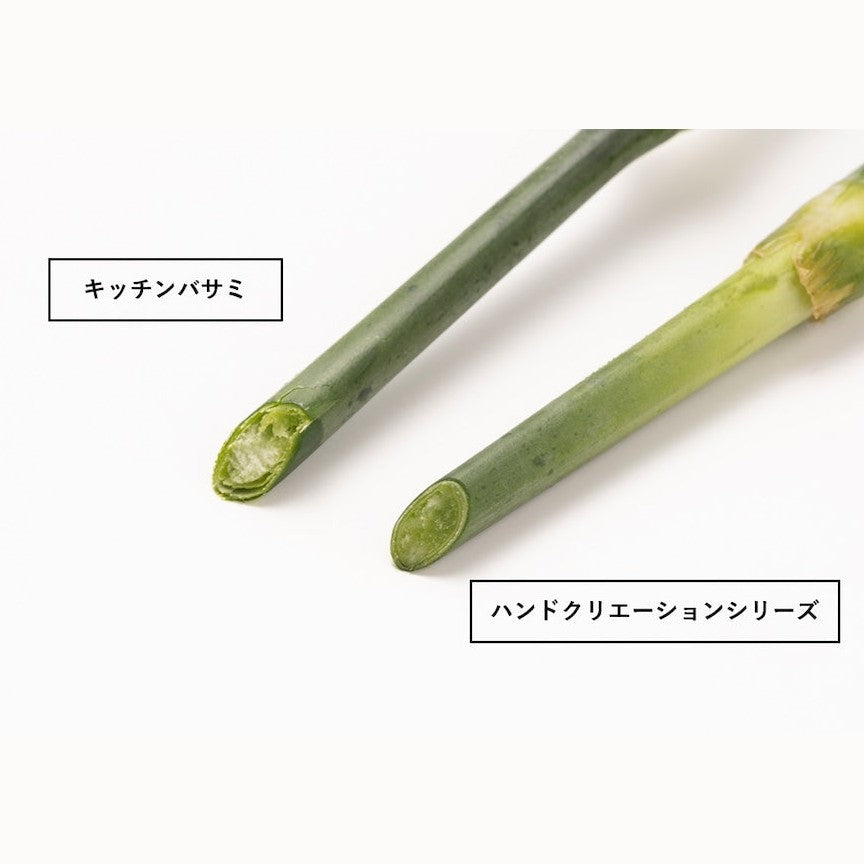 Sakagen Bonsai Shears F-170