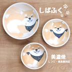 Shibafuku Small Bowl 17D 5H