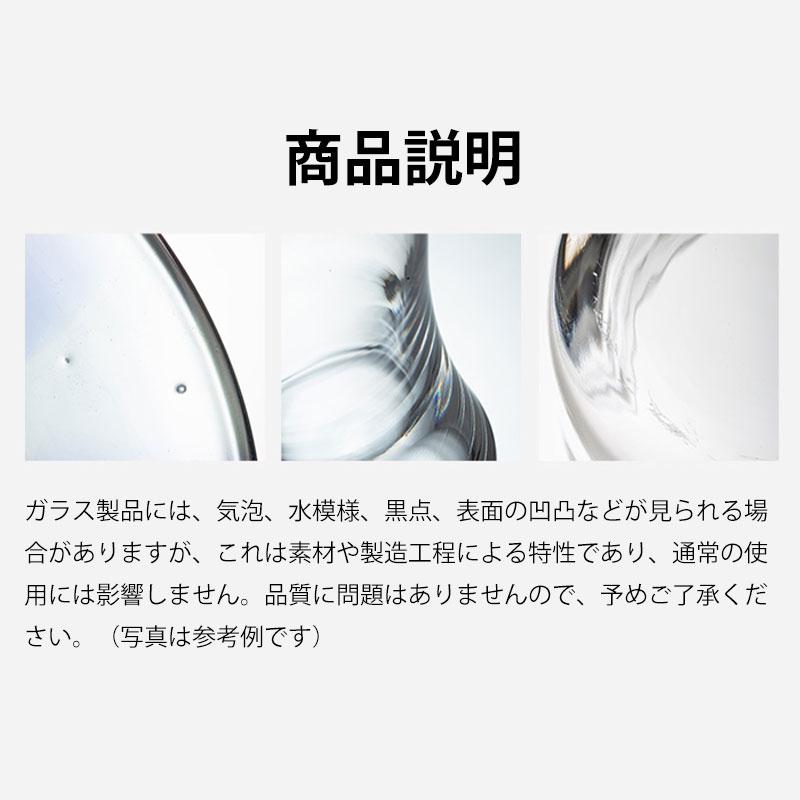 Shimoyama Borosilicate Glass Spray & Pour Oil Bottle 550ml