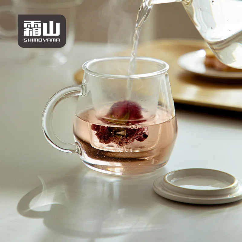 Shimoyama Borosilicate Glass Tea Cup 480ml
