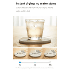 Shimoyama Diatomite Cat Coaster