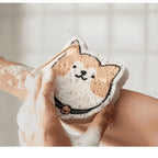 Shimoyama Expandable Cleaning Sponge
