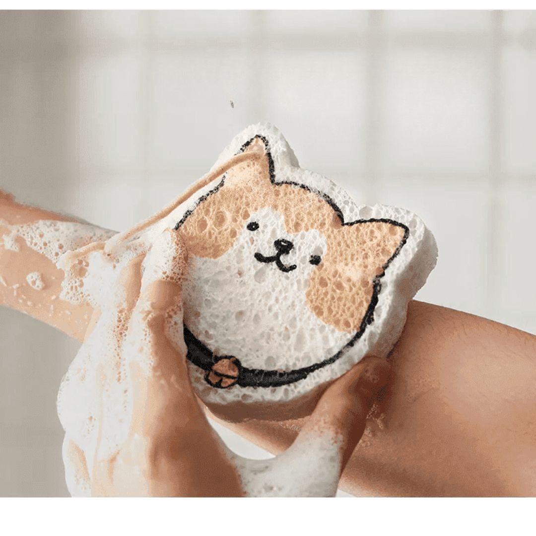 Shimoyama Expandable Cleaning Sponge