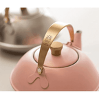 Shimoyama Stainless Kyusu Teapot 0.6L