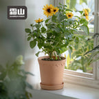 Shimoyama Vintage Flower Pot 13.5mm