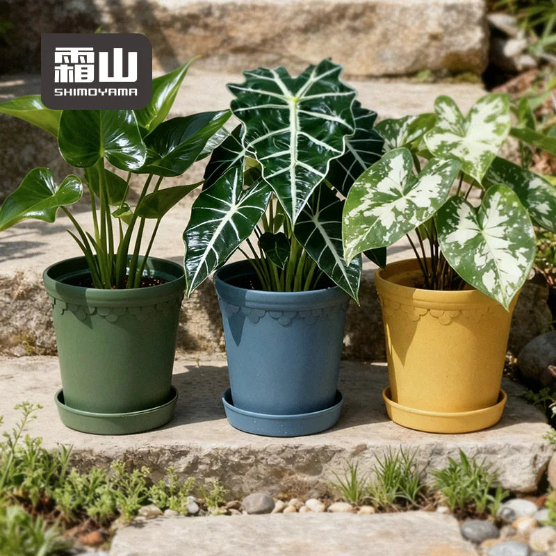 Shimoyama Vintage Flower Pot 13.5mm