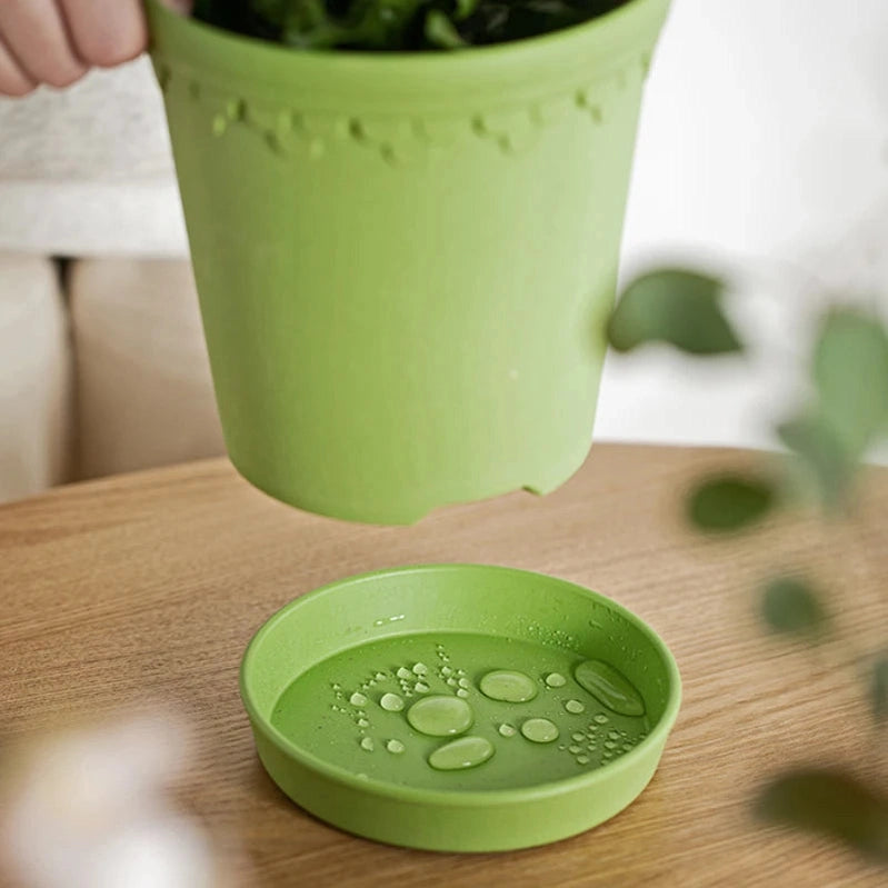 Shimoyama Vintage Flower Pot Saucer