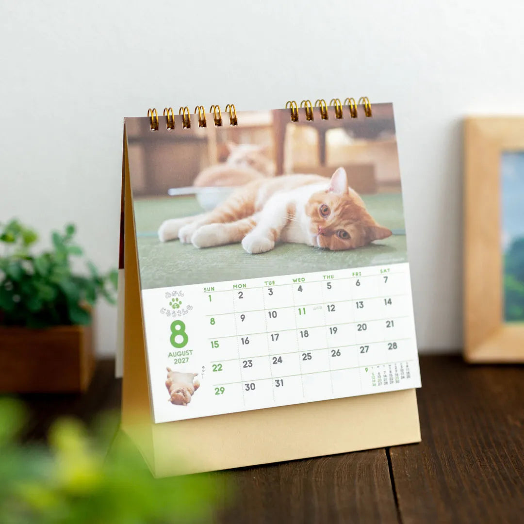 Life with Cats Mikan and Jiro Desk Calendar 2027 on a wooden table beside pot plants