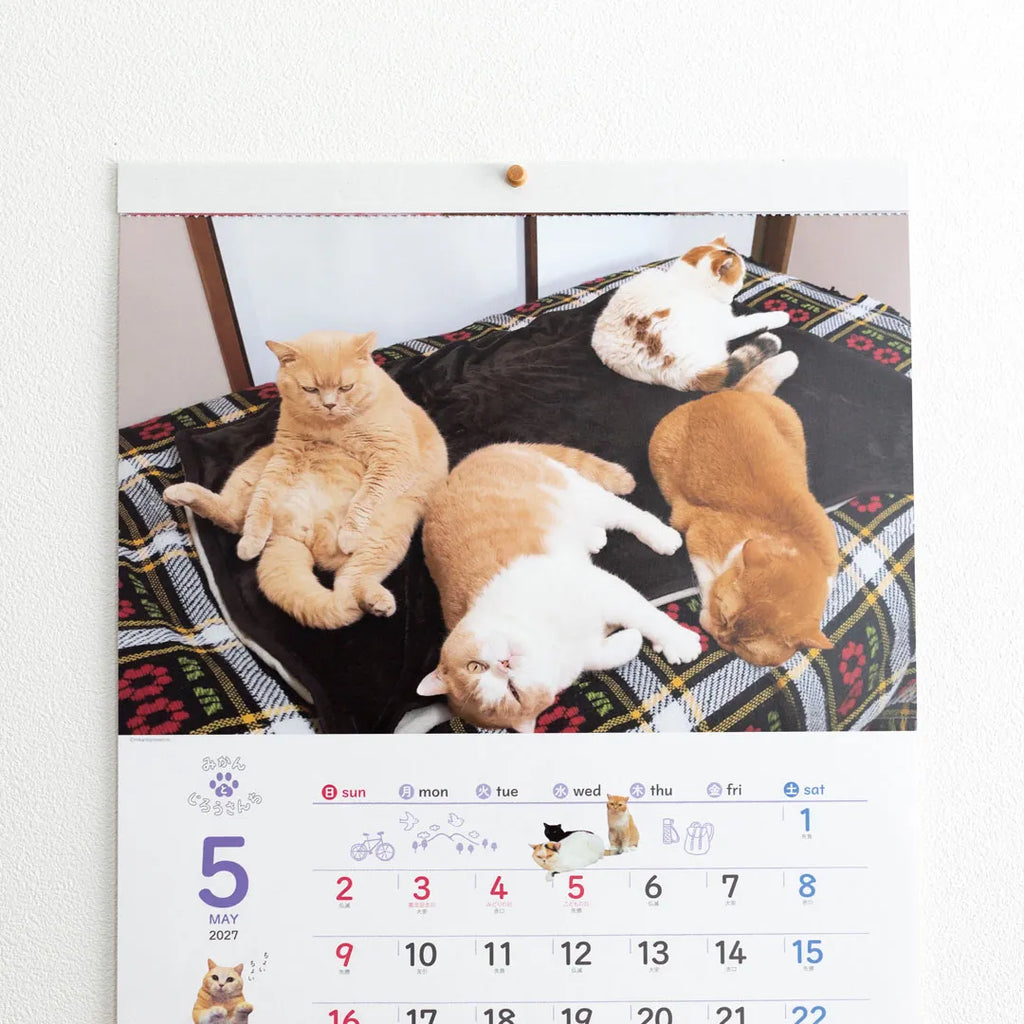 Close view of a page showing cats resting on a tartan rug