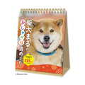 Shiba Inu Maru Weekly Calendar 2027 standing on its base