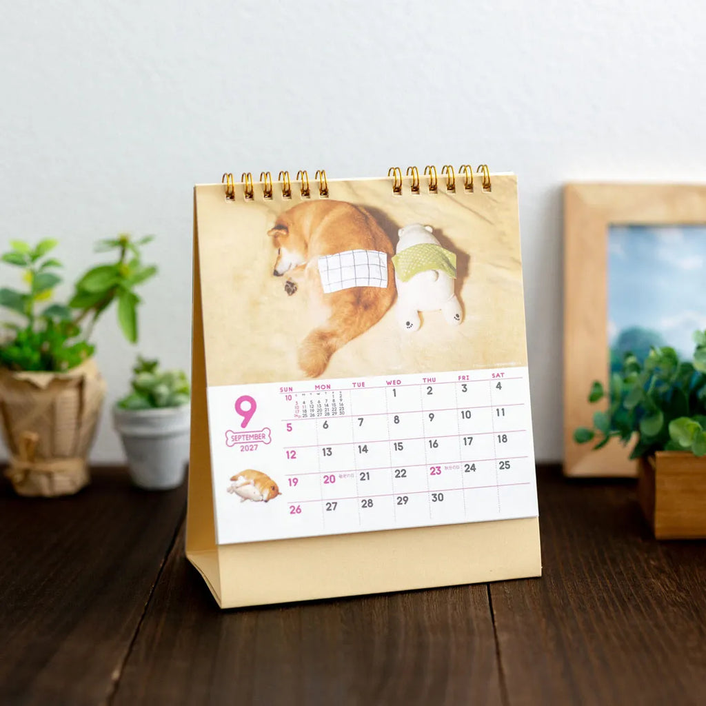 Walk with Shiba Inu Maru Desk Calendar 2027 on a wooden table beside pot plants