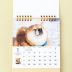 January page of the Walk with Shiba Inu Maru Desk Calendar 2027