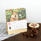 December page of the Walk with Shiba Inu Maru Desk Calendar 2027 beside pine cones