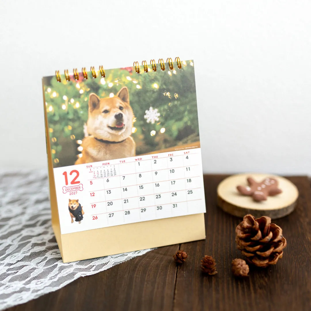 December page of the Walk with Shiba Inu Maru Desk Calendar 2027 beside pine cones