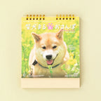 Cover of the Walk with Shiba Inu Maru Desk Calendar 2027