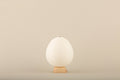 Shiraki Cocolan Chochin Lantern - Ostrich