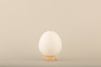 Shiraki Cocolan Chochin Lantern - Ostrich