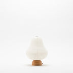 Shiraki Cocolan Chochin Lantern - Yama